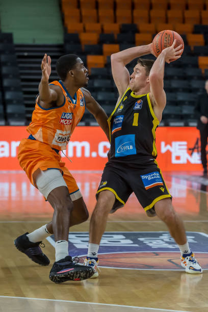 尤为亮眼 尤为亮眼